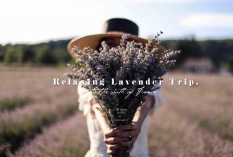 To The South of France, Relaxing Lavender Trip