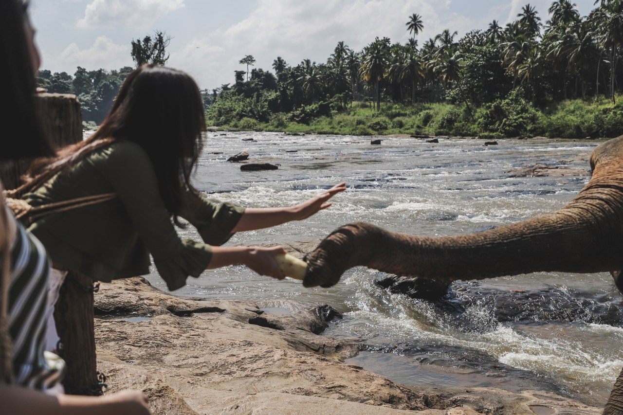 Tales of SRI LANKA.