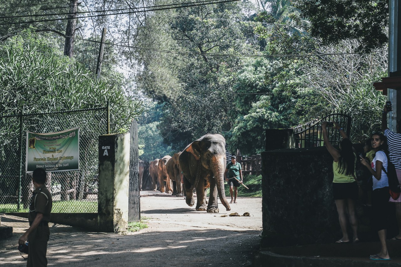 Tales of SRI LANKA.