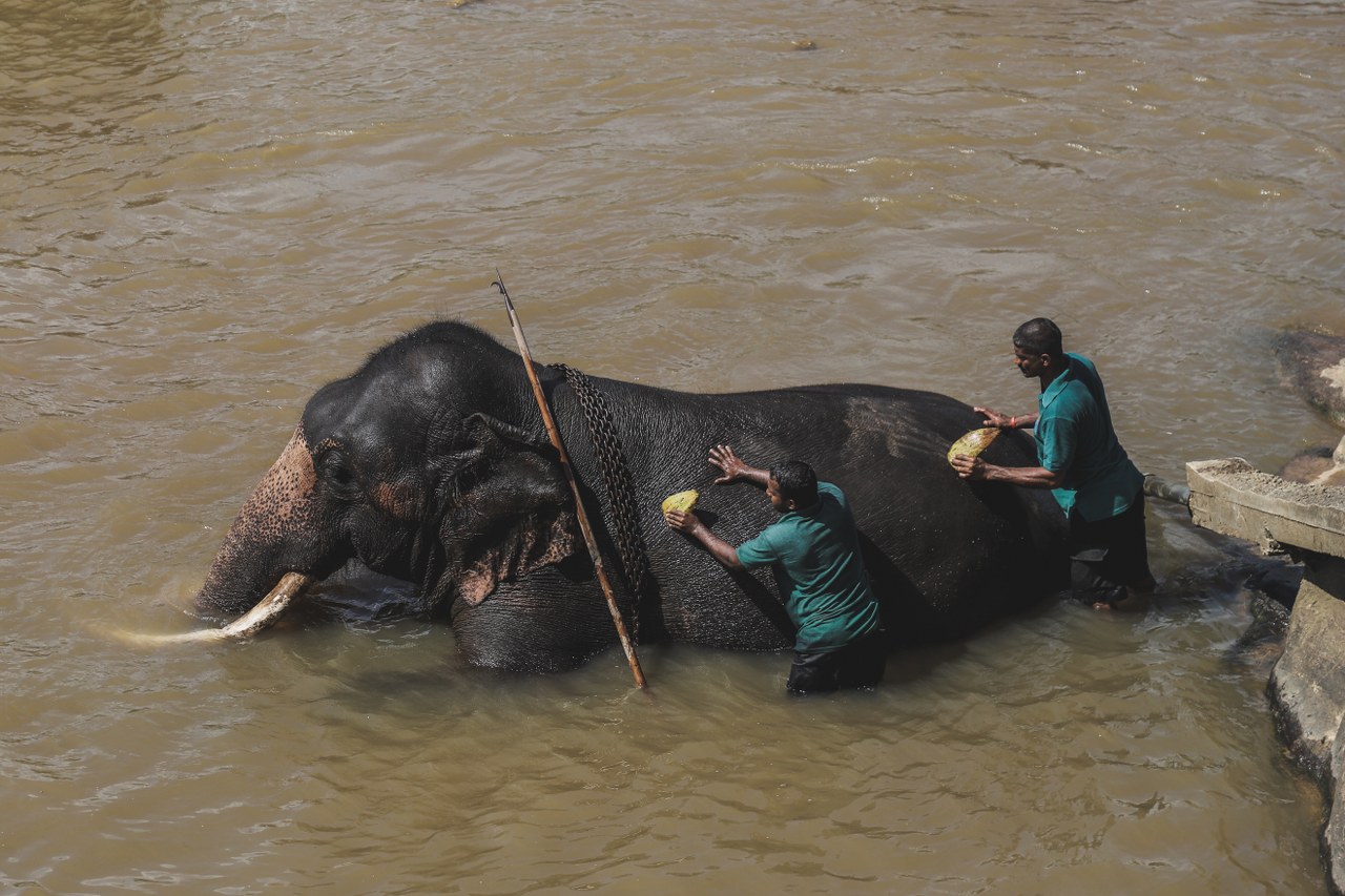 Tales of SRI LANKA.