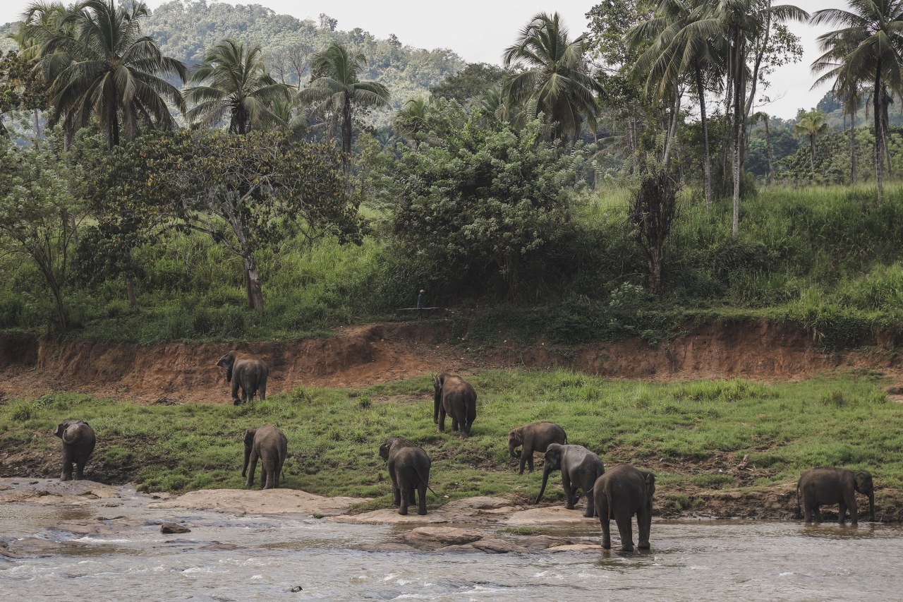 Tales of SRI LANKA.