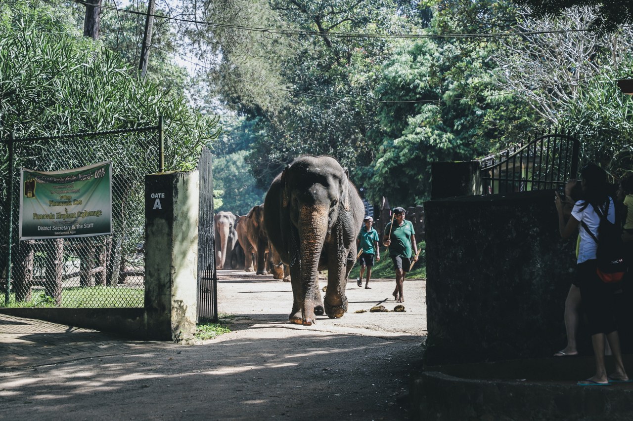 Tales of SRI LANKA.