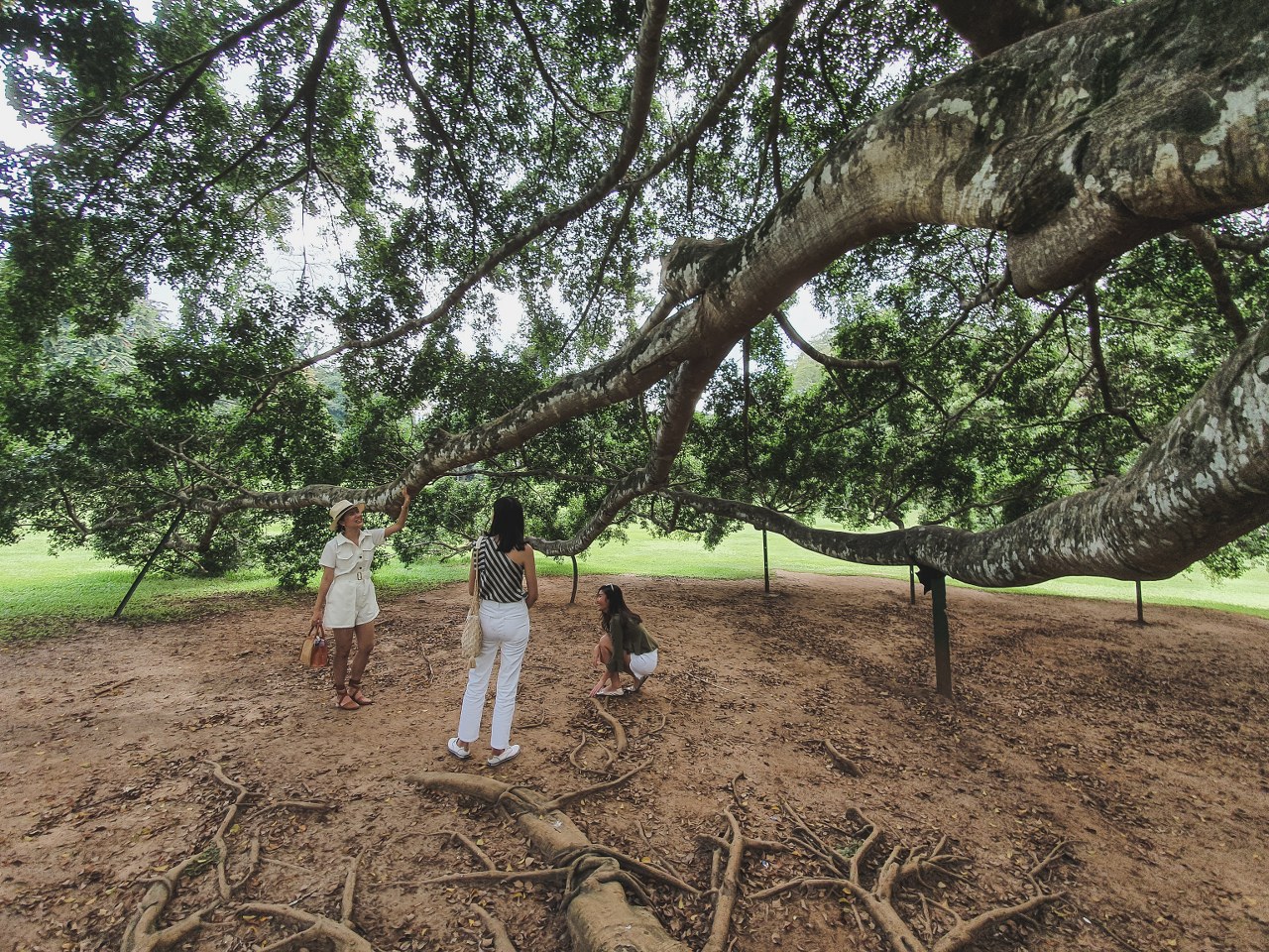 Tales of SRI LANKA.