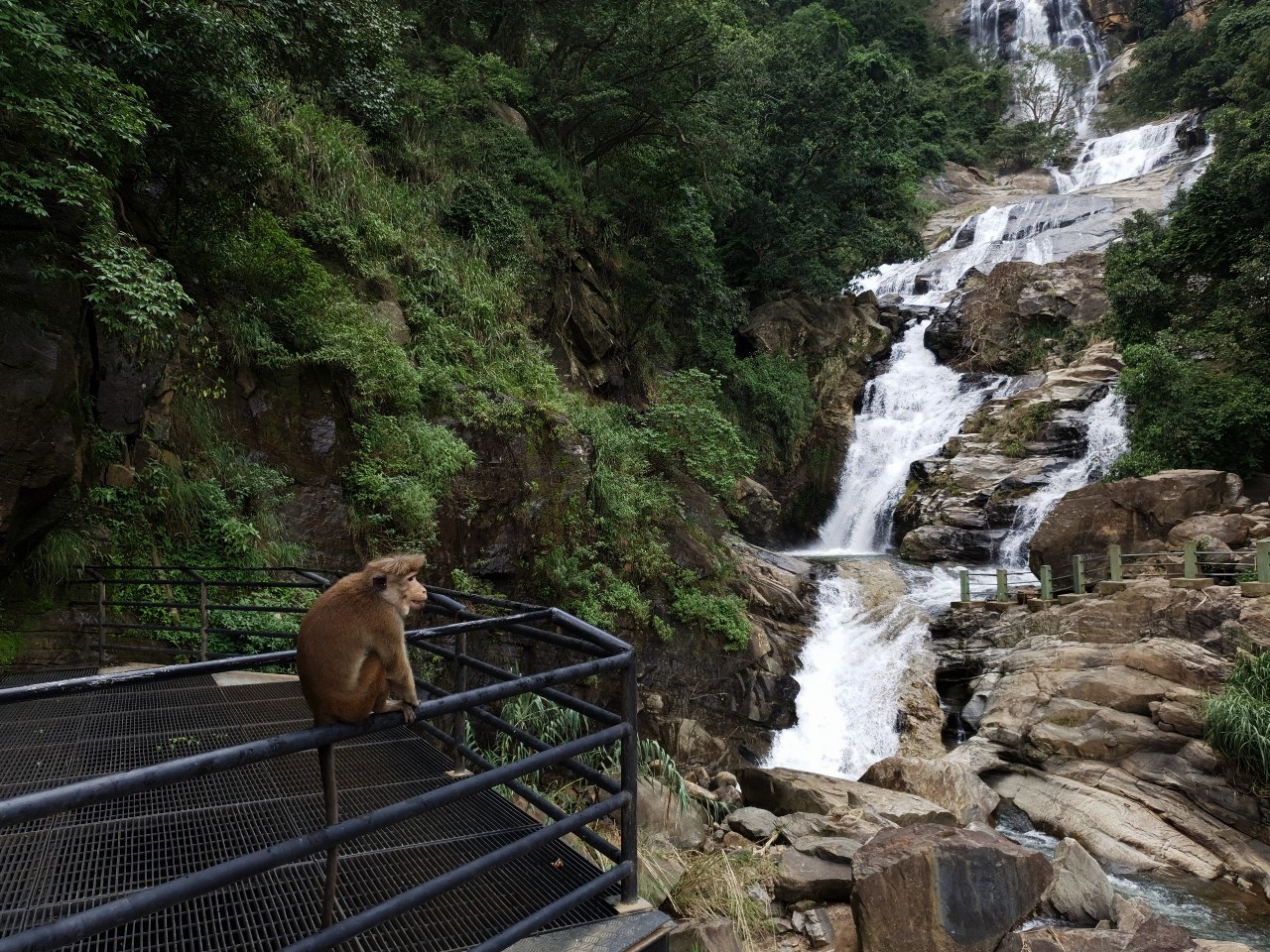 Tales of SRI LANKA.