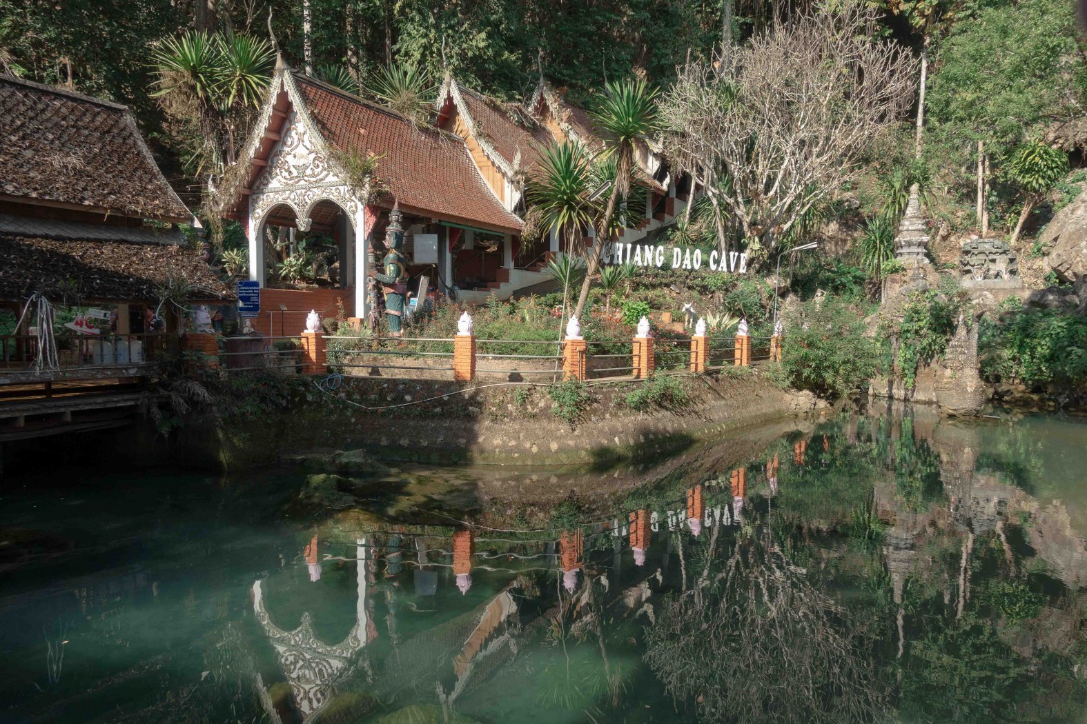 เลาะลำธาร บ้านต้นไม้ แคมป์ปิ้งยามเย็น แช่Onsen และเก็บใบชา ปลายหนาวนี้ที่ &#8216;เชียงใหม่&#8217;