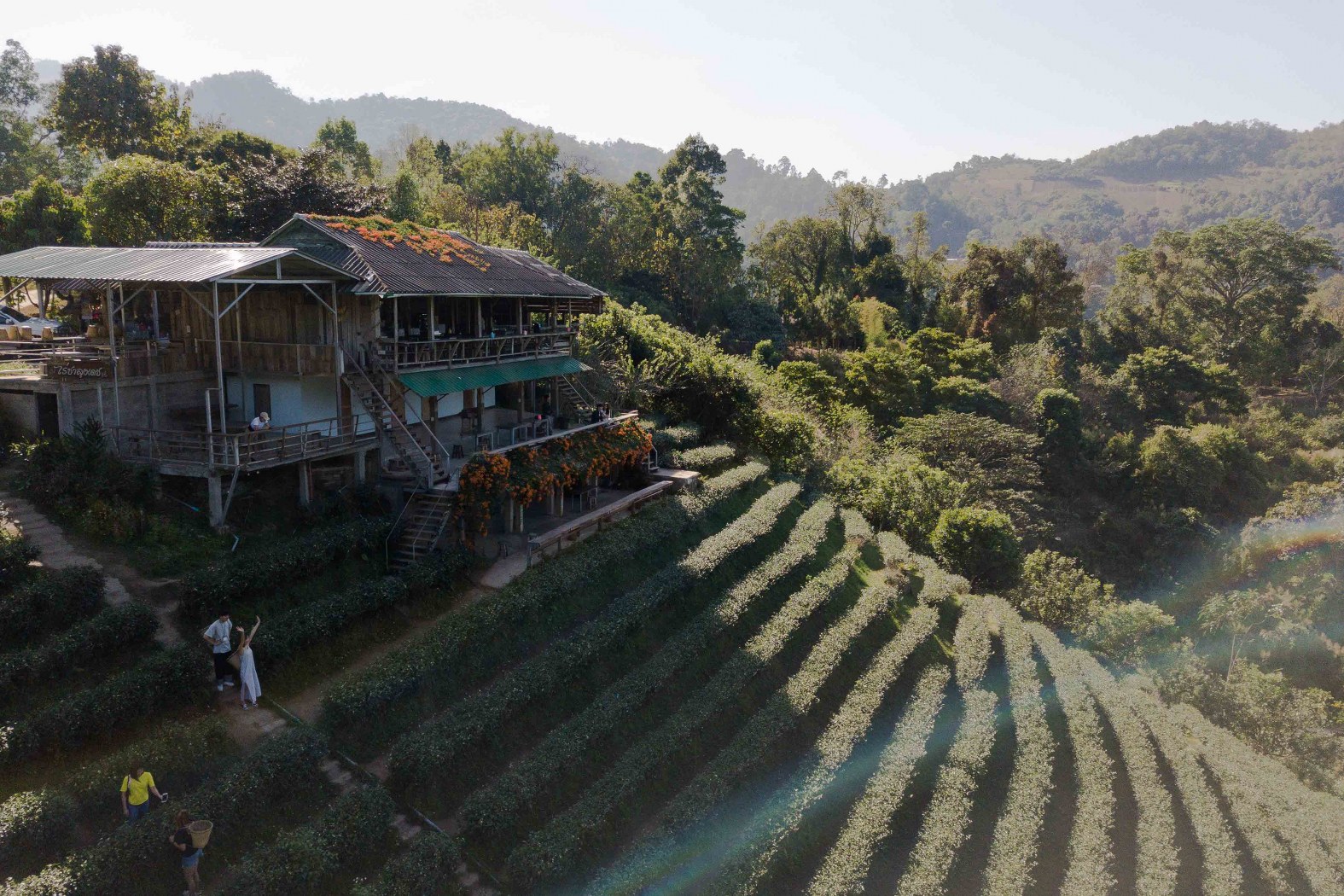 เลาะลำธาร บ้านต้นไม้ แคมป์ปิ้งยามเย็น แช่Onsen และเก็บใบชา ปลายหนาวนี้ที่ &#8216;เชียงใหม่&#8217;