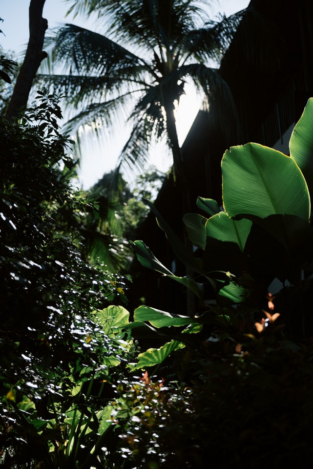 เที่ยวเกาะช้างหน้า Green Season