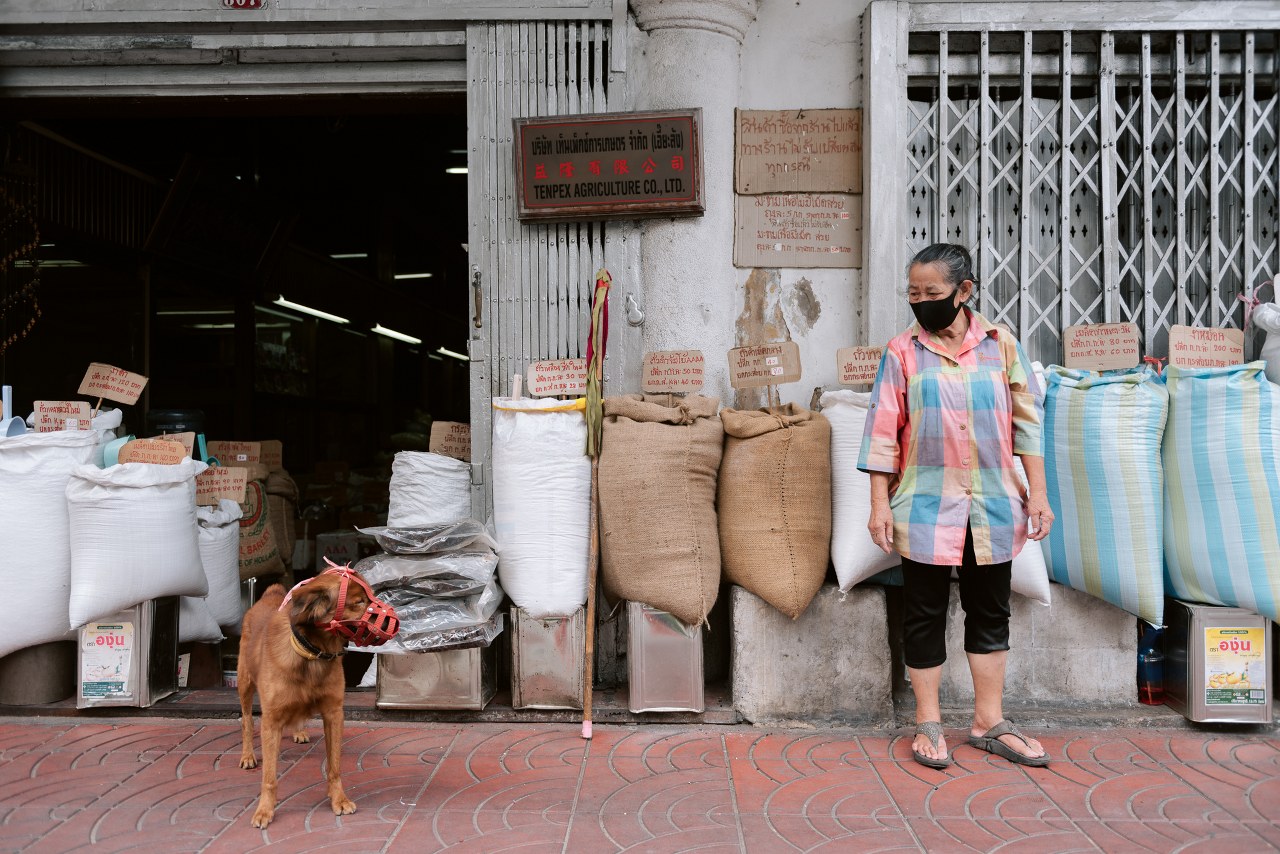 พาเที่ยวกรุงเทพ One Day Trip 8 ชม. ได้ทั้งเมืองได้ทั้งป่า