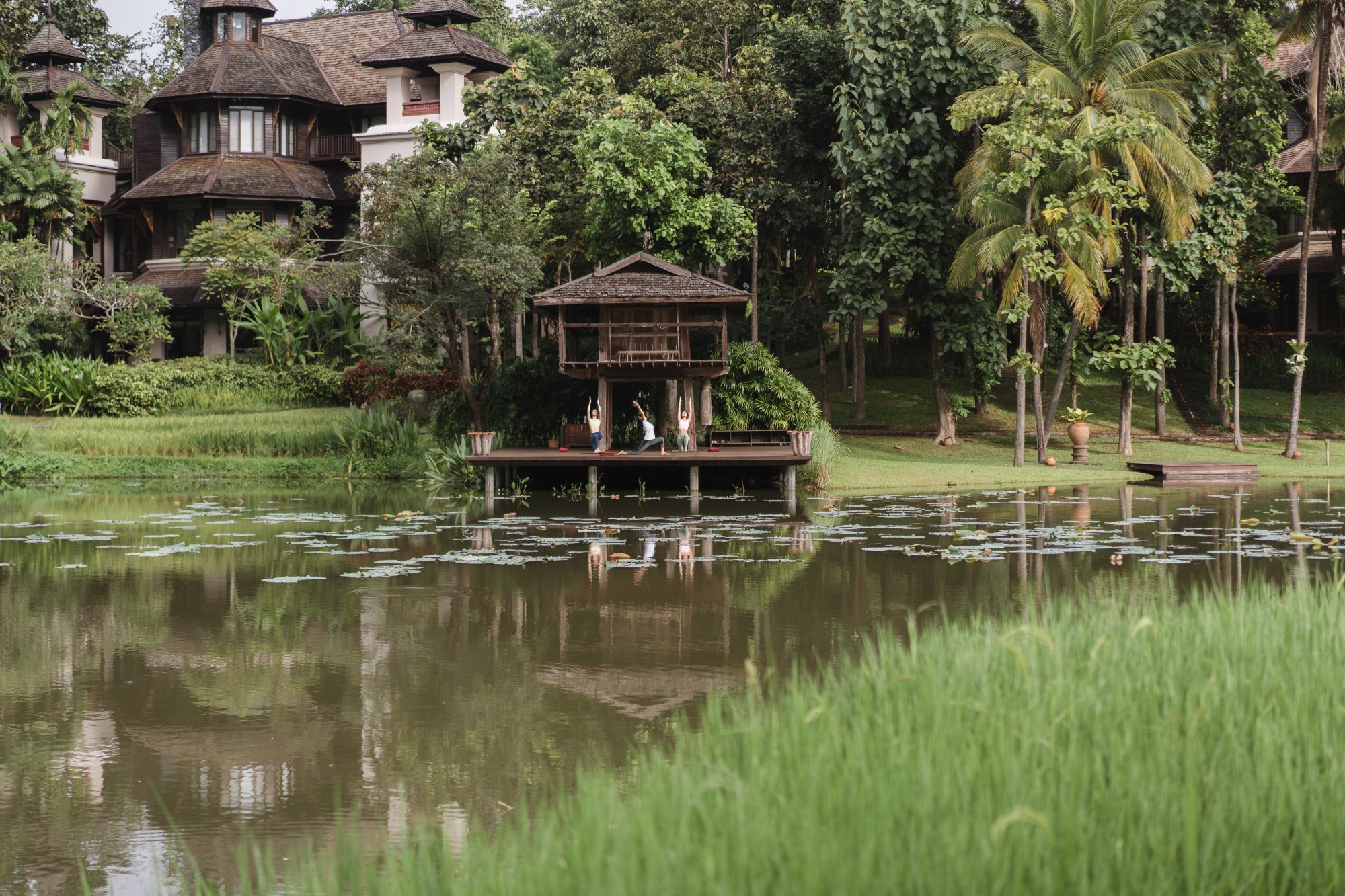 Restart your 2020, Four Seasons Resort Chiang Mai.