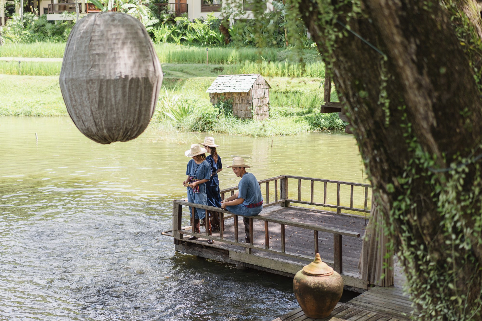Restart your 2020, Four Seasons Resort Chiang Mai.