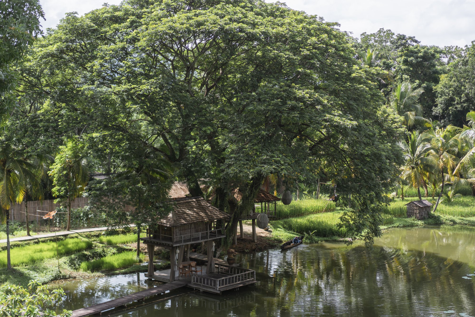 Restart your 2020, Four Seasons Resort Chiang Mai.