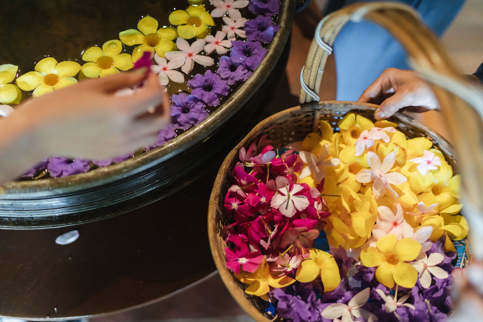 Restart your 2020, Four Seasons Resort Chiang Mai.