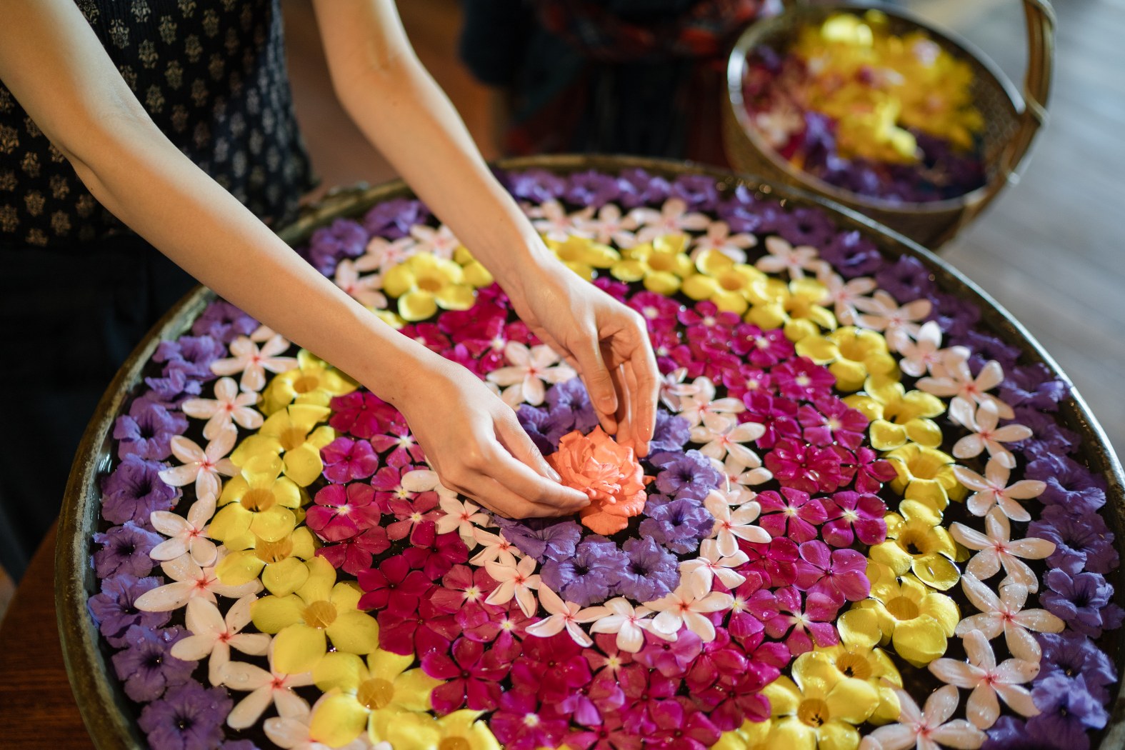 Restart your 2020, Four Seasons Resort Chiang Mai.