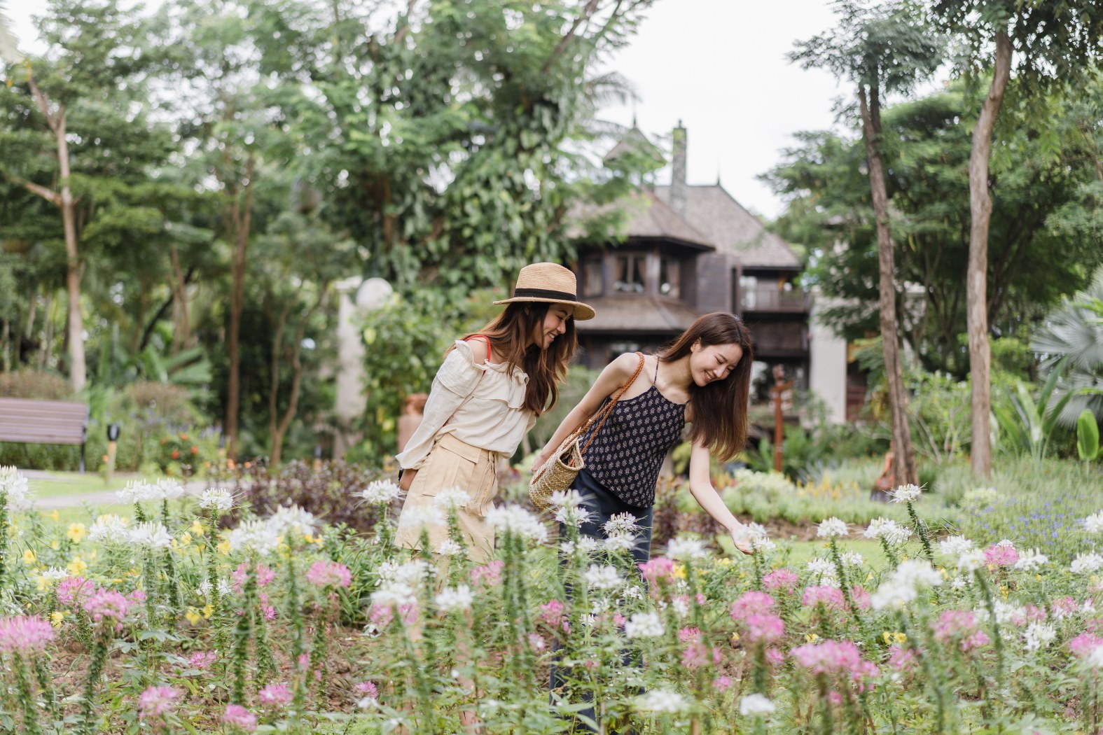 Restart your 2020, Four Seasons Resort Chiang Mai.