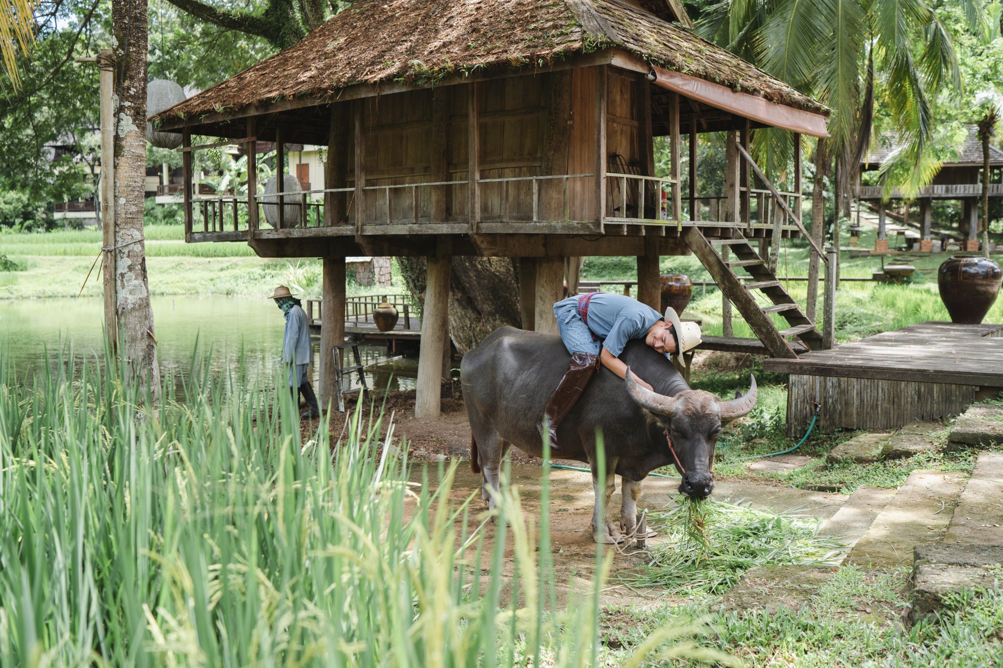 Restart your 2020, Four Seasons Resort Chiang Mai.
