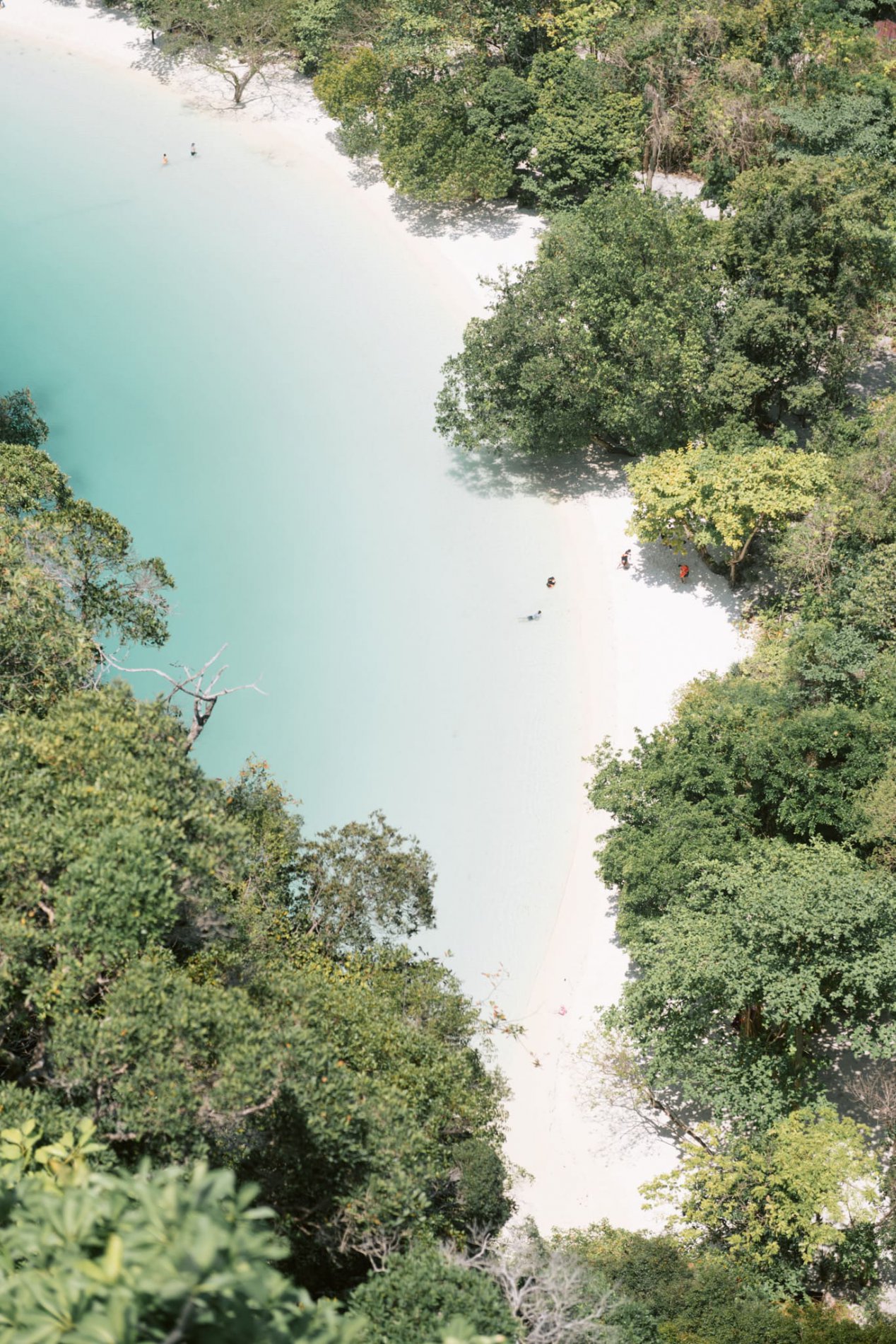 Banyan Tree Krabi