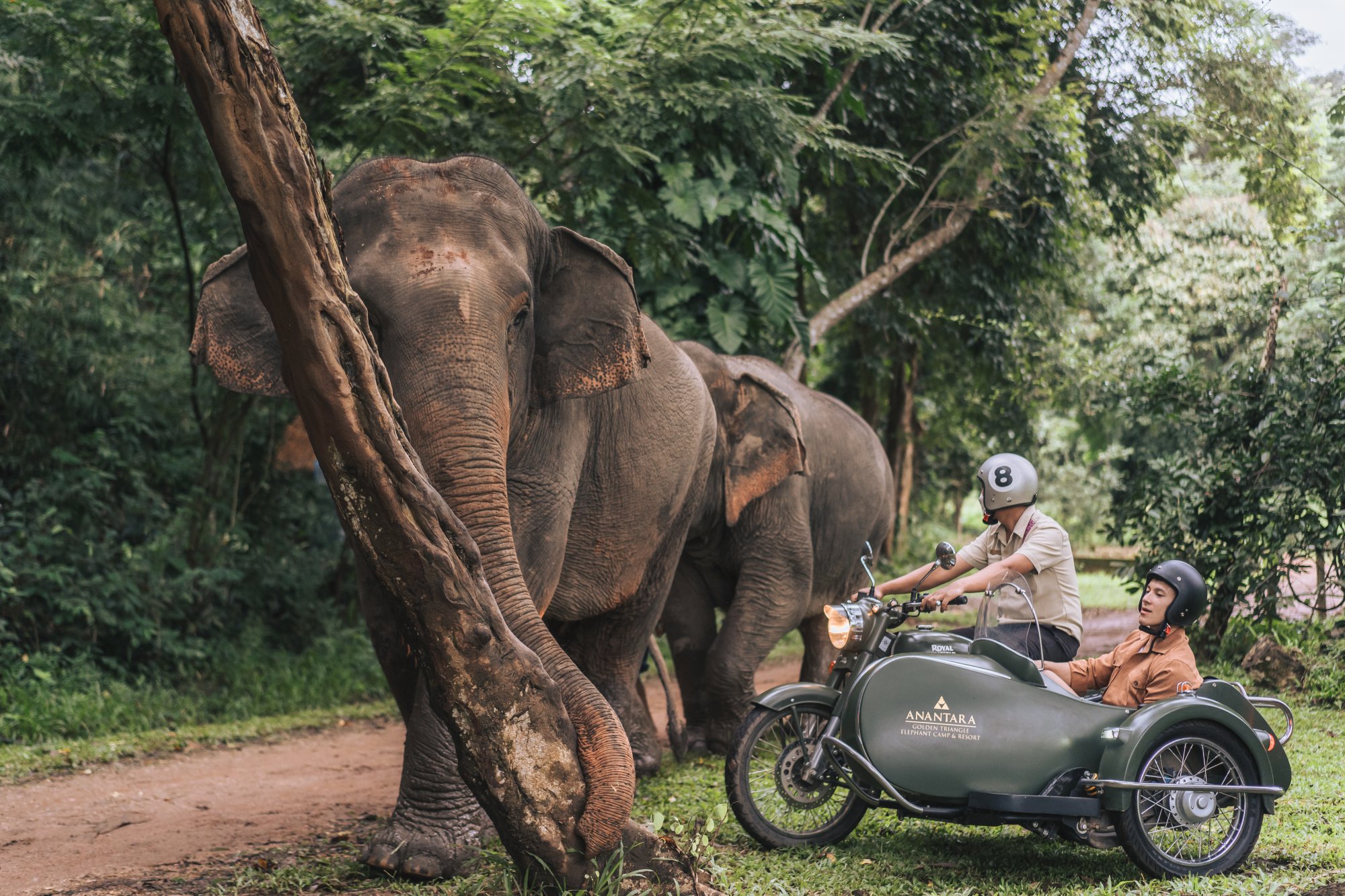 Unfold yourself in &#8216;Chiang Saen&#8217;