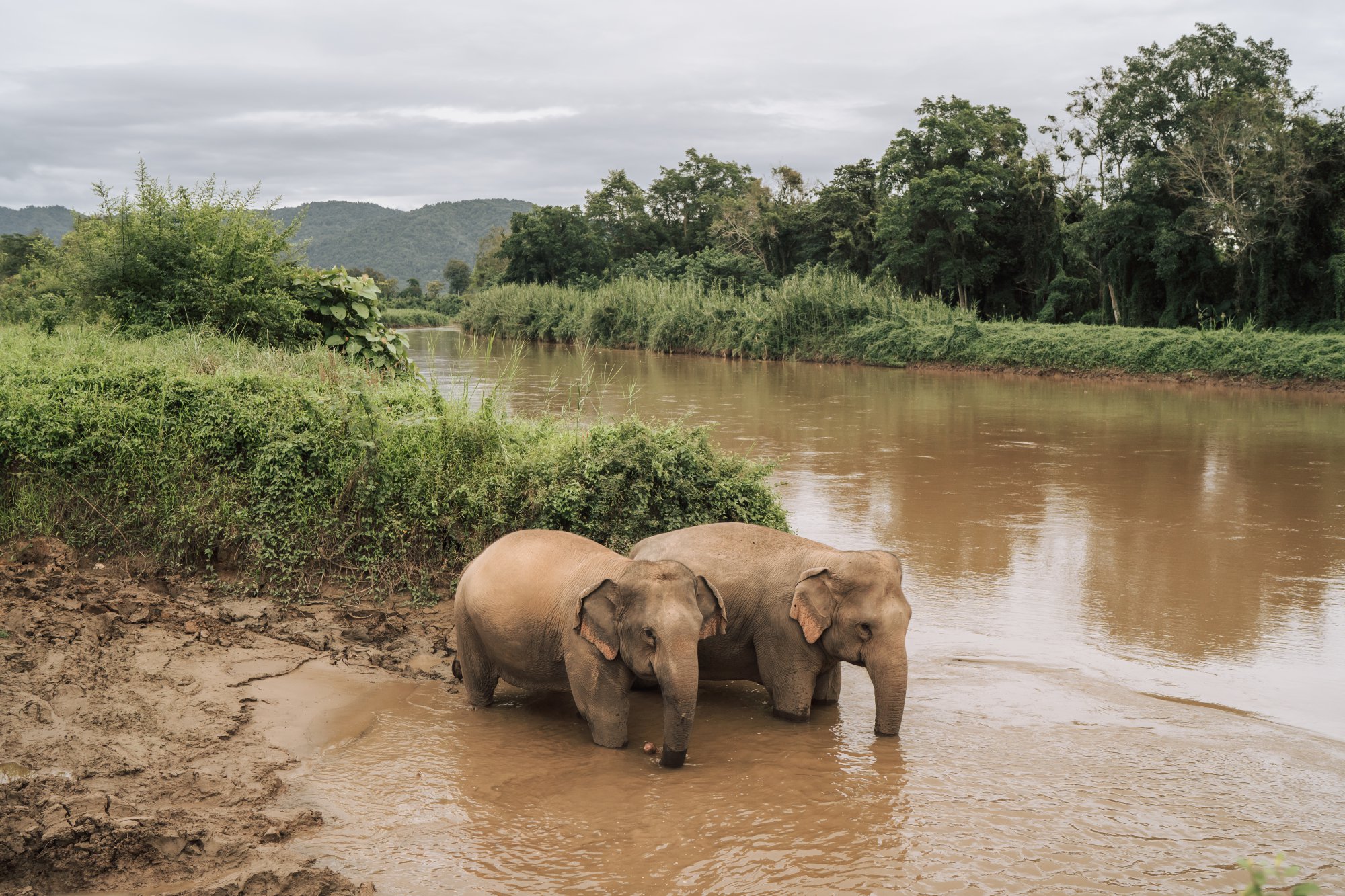 Unfold yourself in &#8216;Chiang Saen&#8217;