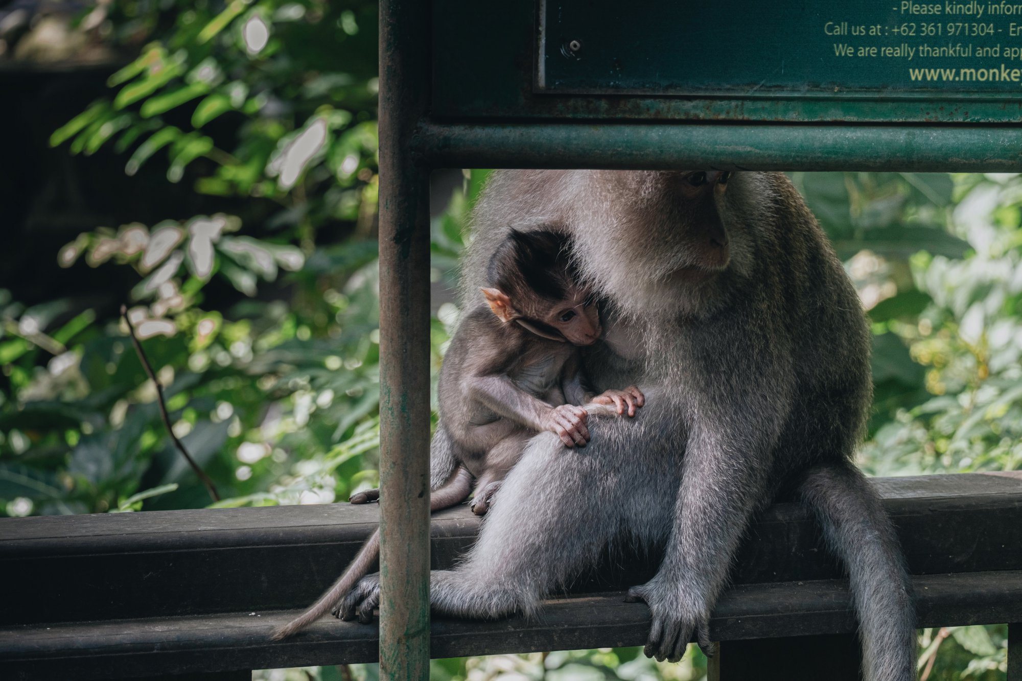 Immerse yourself in BALI Vibes.