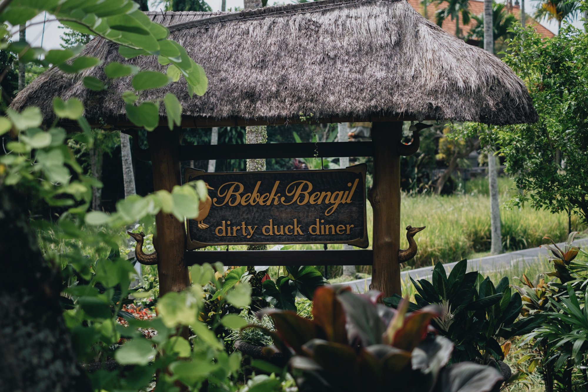 Immerse yourself in BALI Vibes.