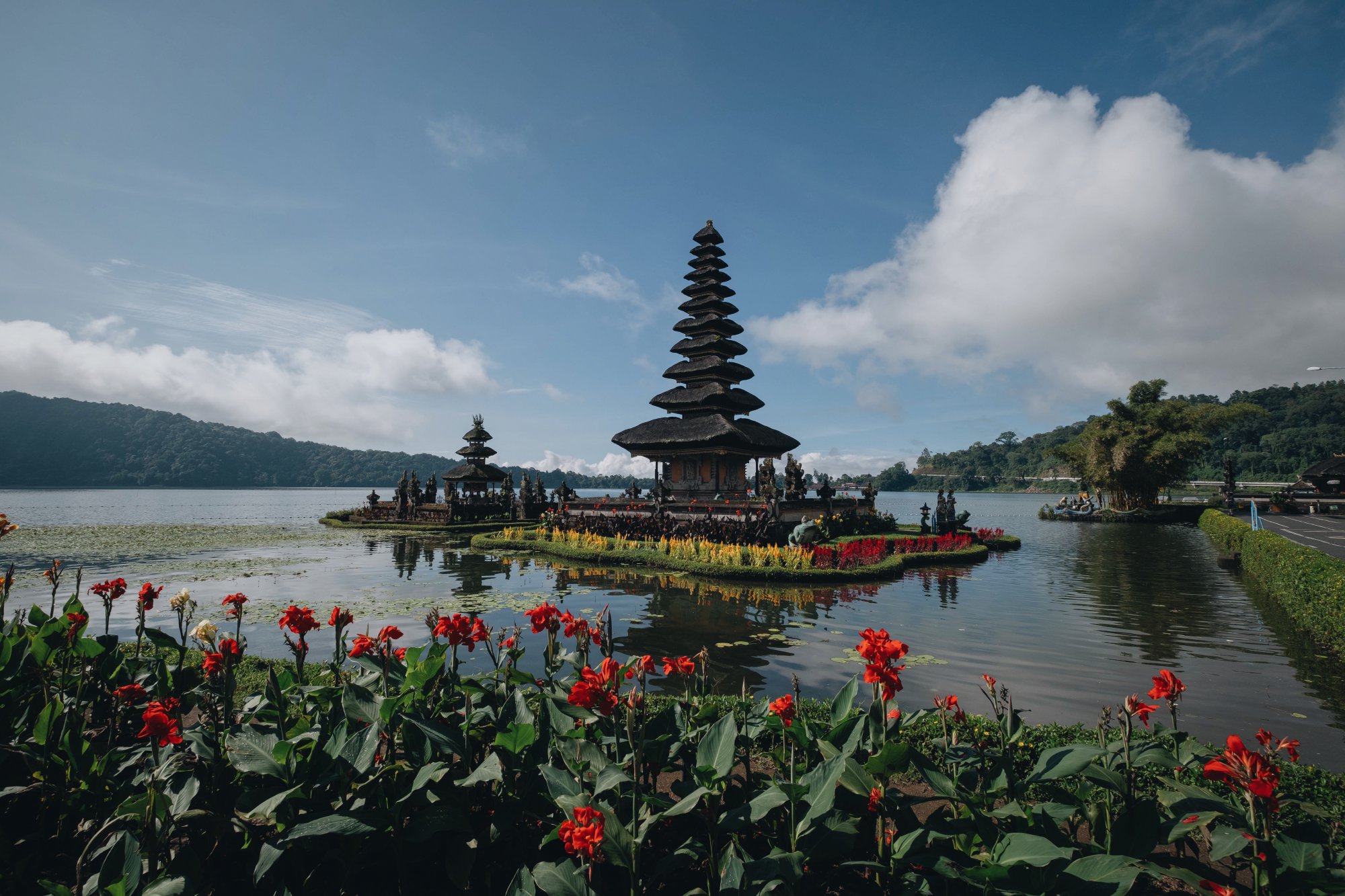 Immerse yourself in BALI Vibes.