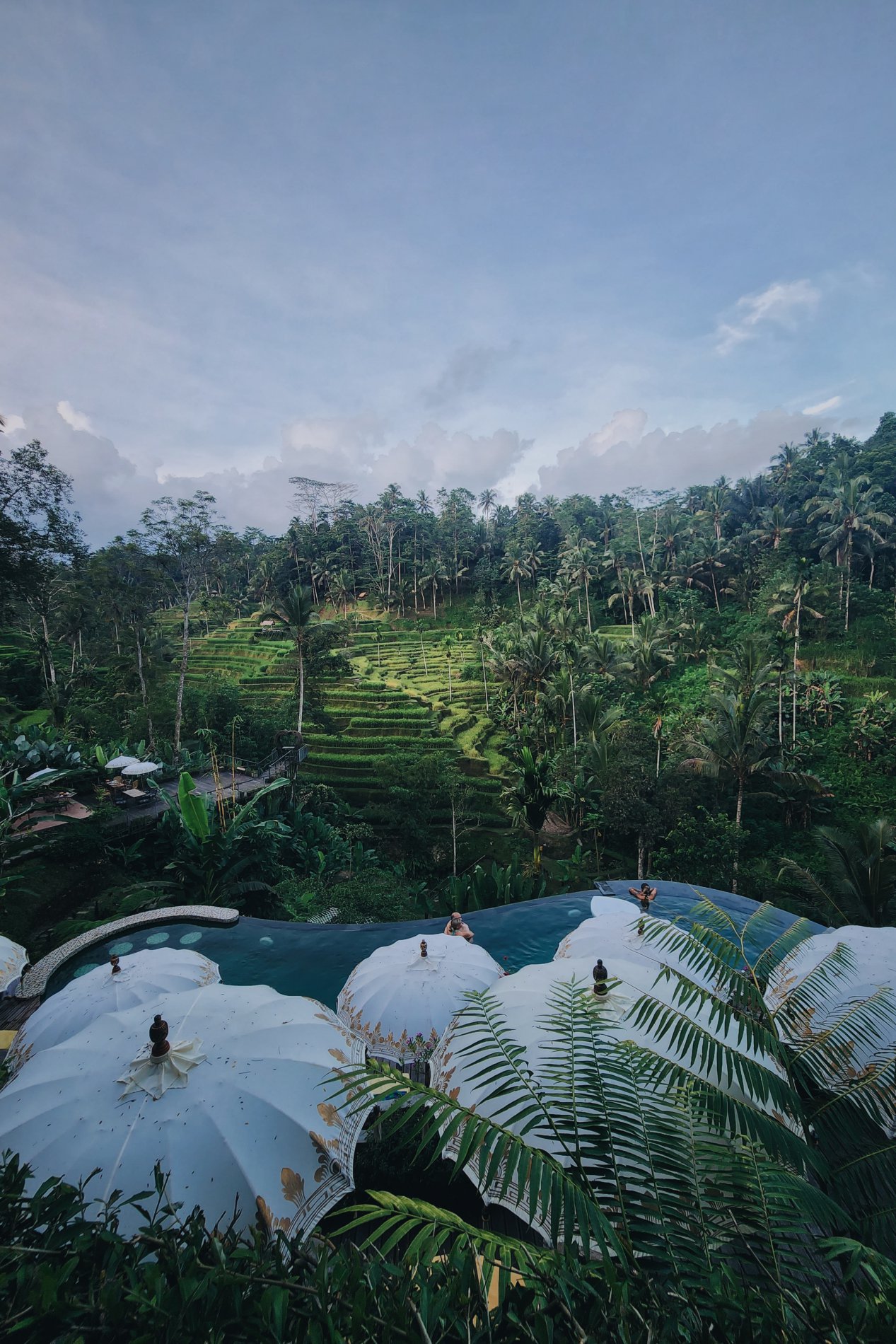 Immerse yourself in BALI Vibes.