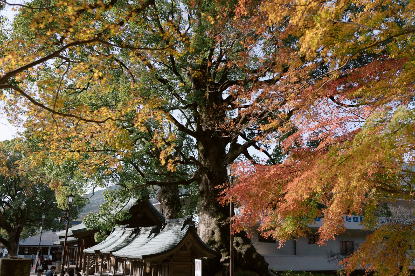 &#8216;FUKUOKA&#8217; Kyushu&#8217;s Best City Break!