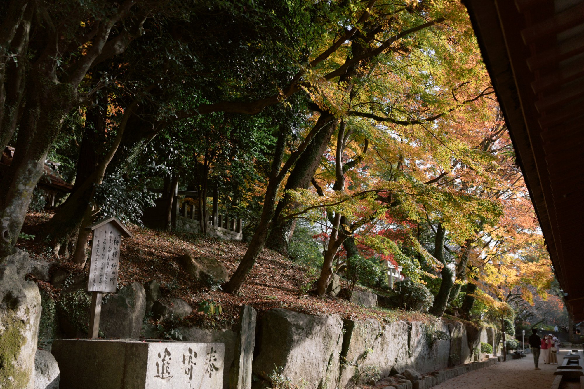 &#8216;FUKUOKA&#8217; Kyushu&#8217;s Best City Break!