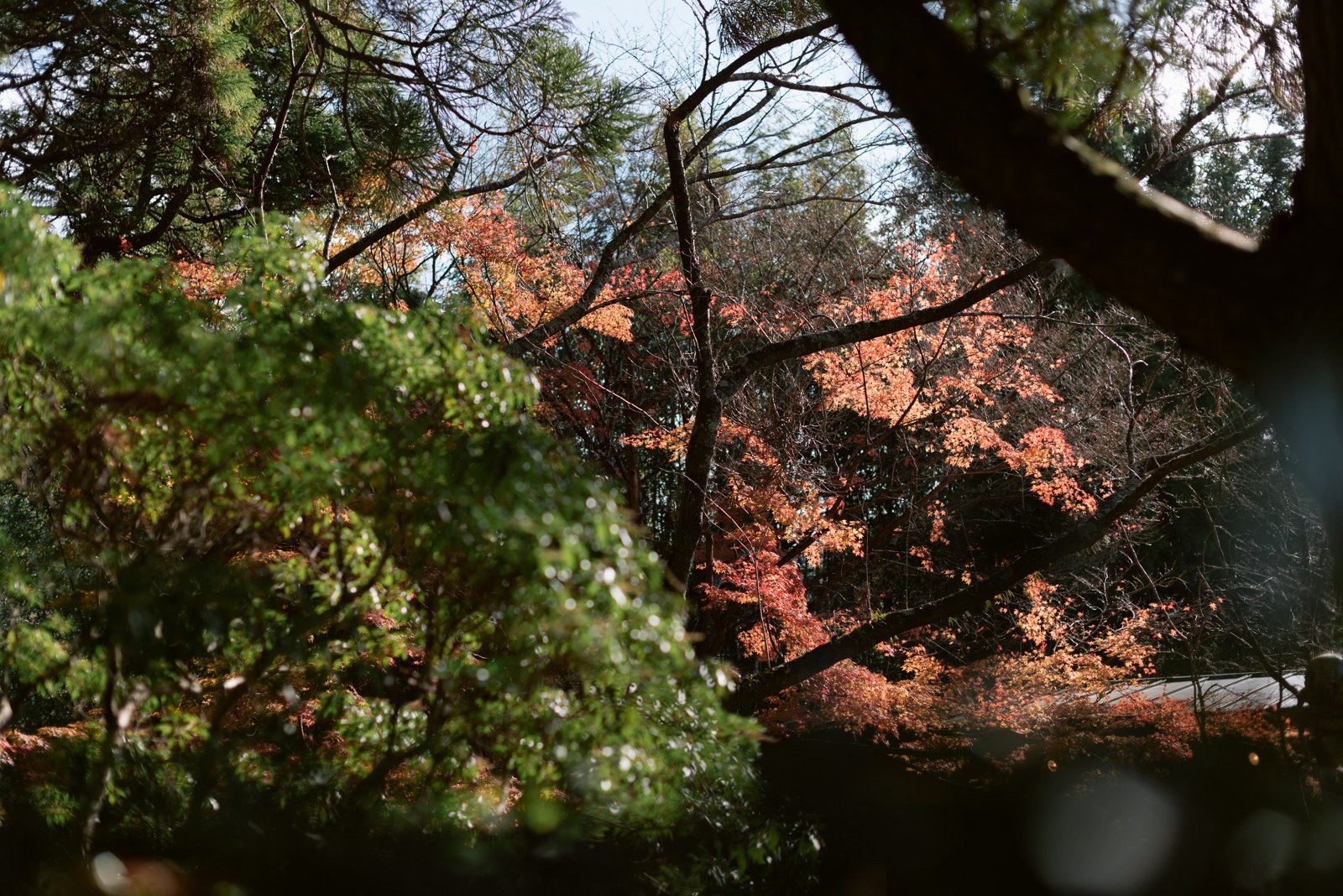 &#8216;FUKUOKA&#8217; Kyushu&#8217;s Best City Break!