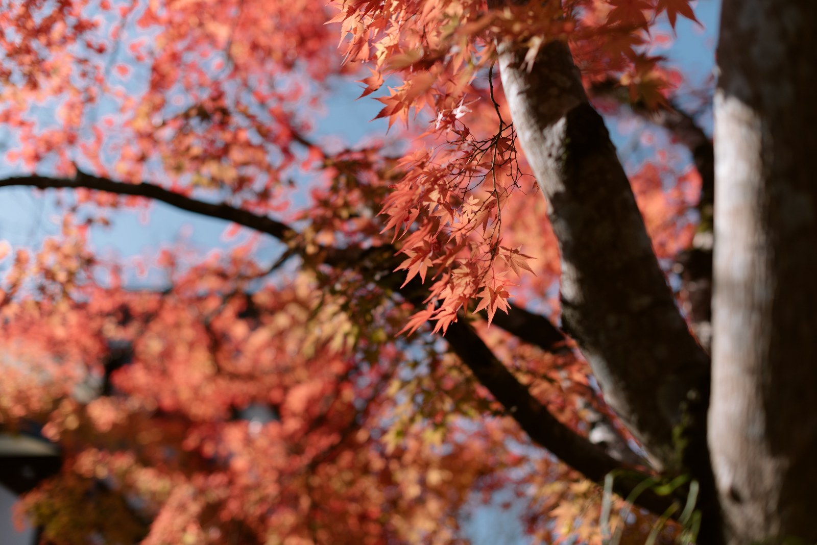 &#8216;FUKUOKA&#8217; Kyushu&#8217;s Best City Break!