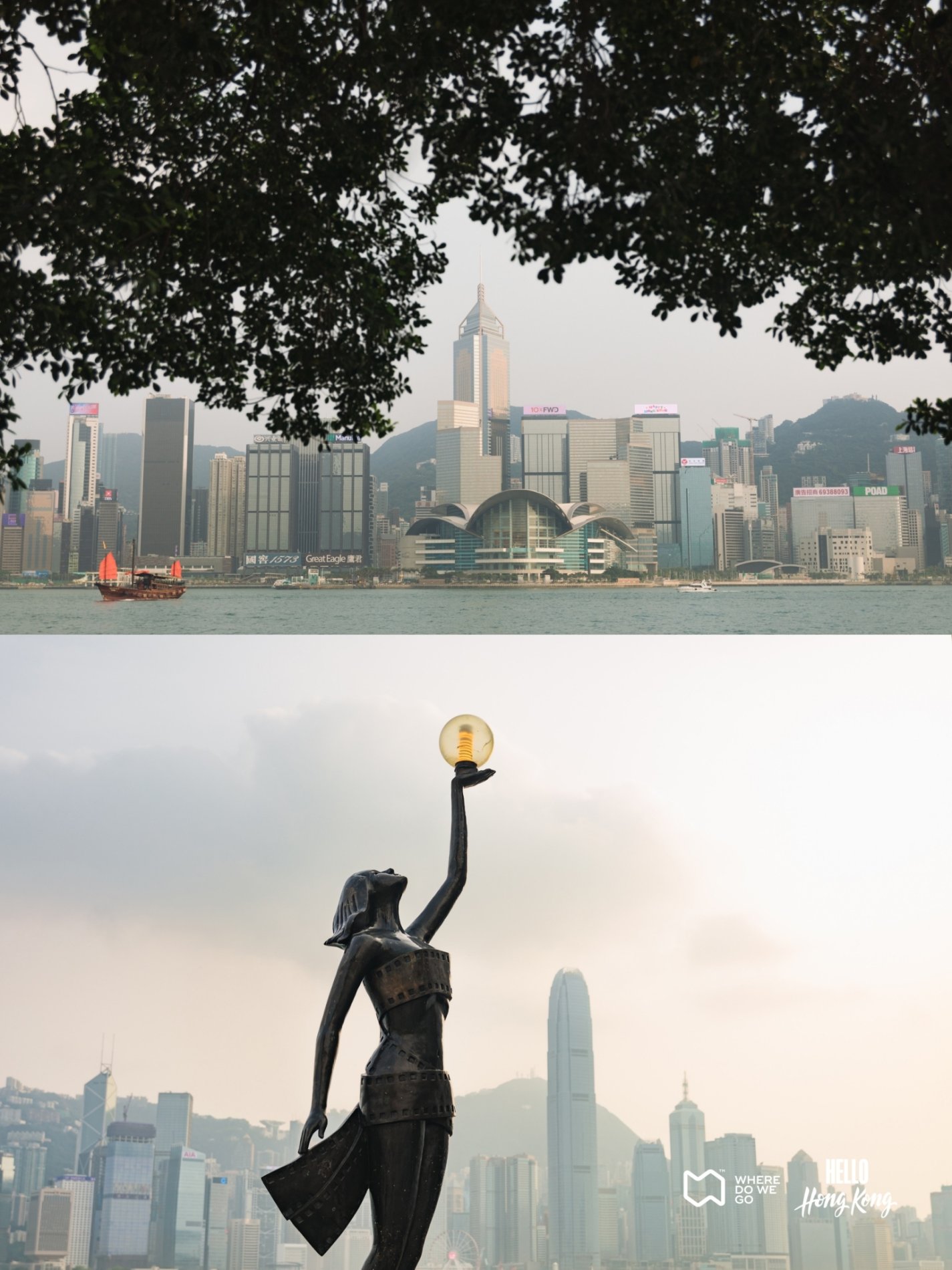 Hello Hong Kong 2024, We will takes you to more