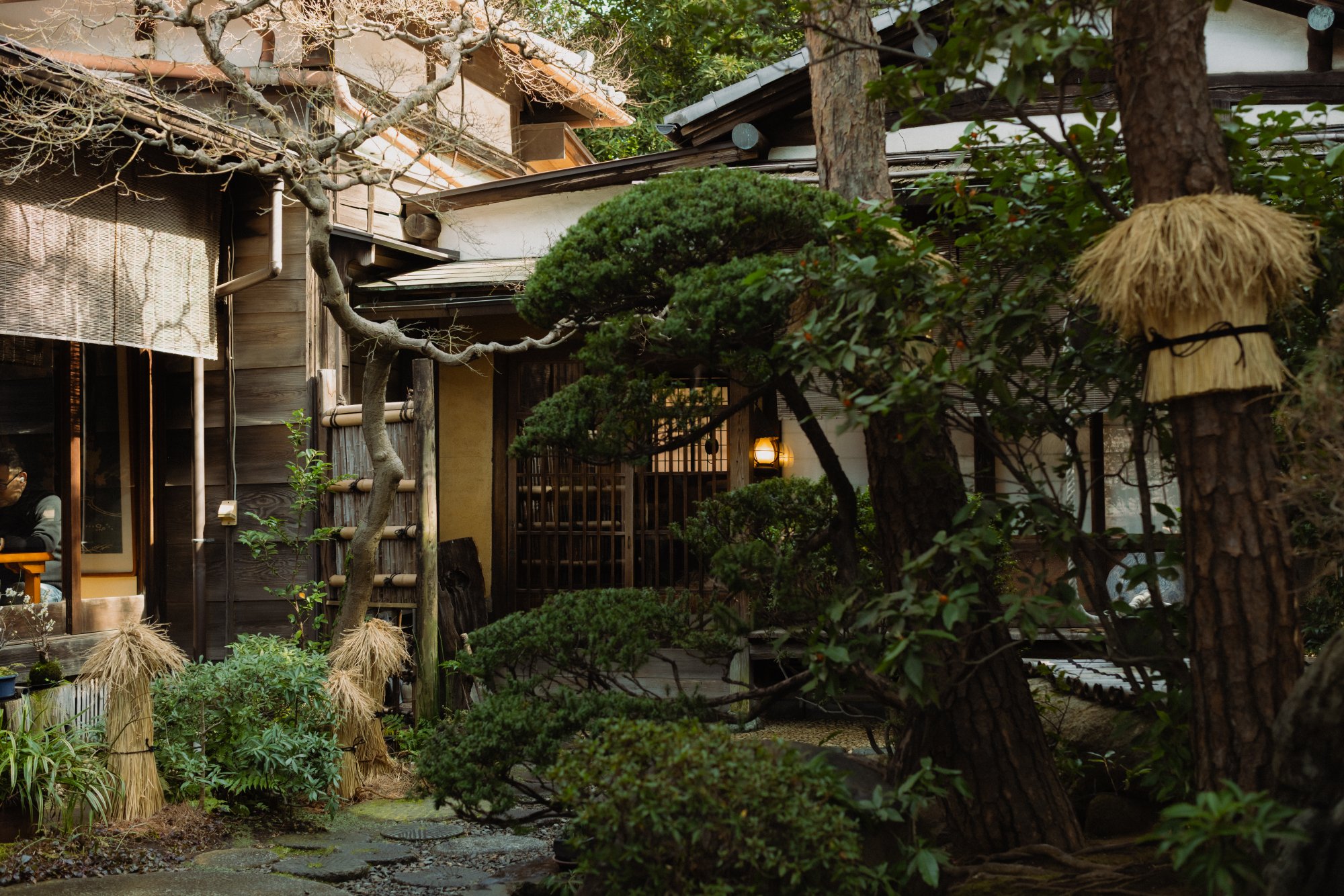 A Lovely 3 Days Guide in Tokyo เที่ยวโตเกียว 3 วันชิลกว่าที่คิด!