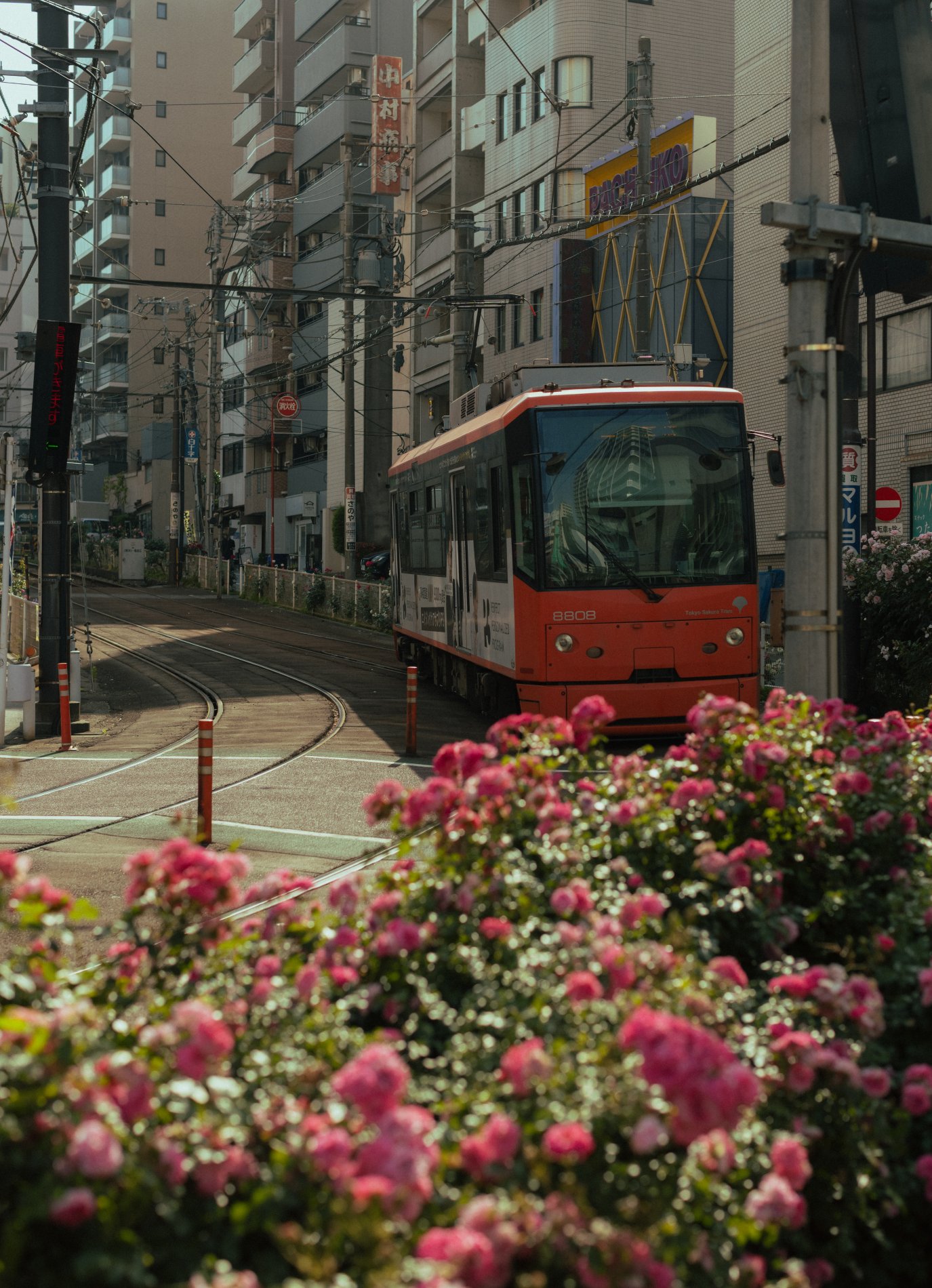 A Lovely 3 Days Guide in Tokyo เที่ยวโตเกียว 3 วันชิลกว่าที่คิด!