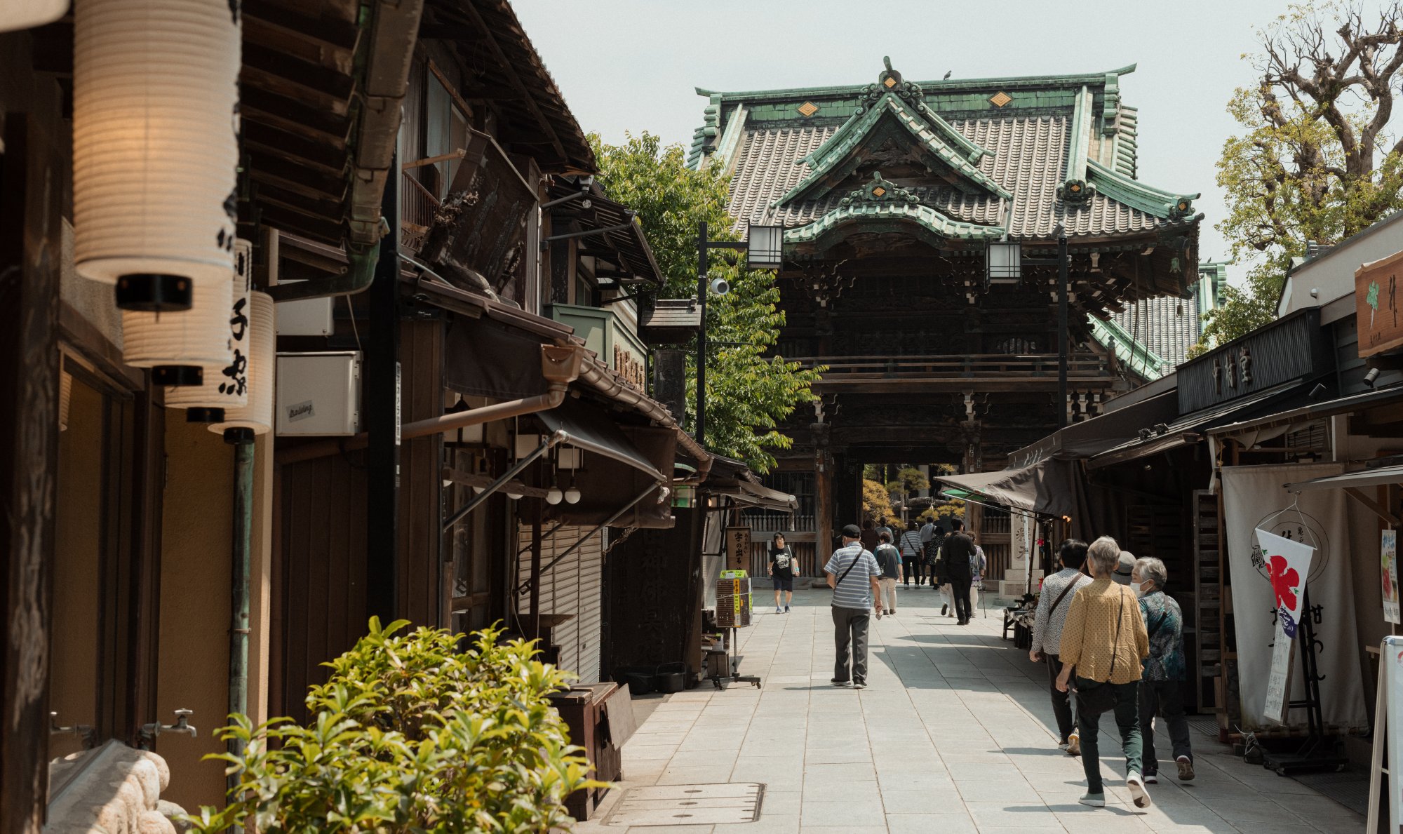 A Lovely 3 Days Guide in Tokyo เที่ยวโตเกียว 3 วันชิลกว่าที่คิด!