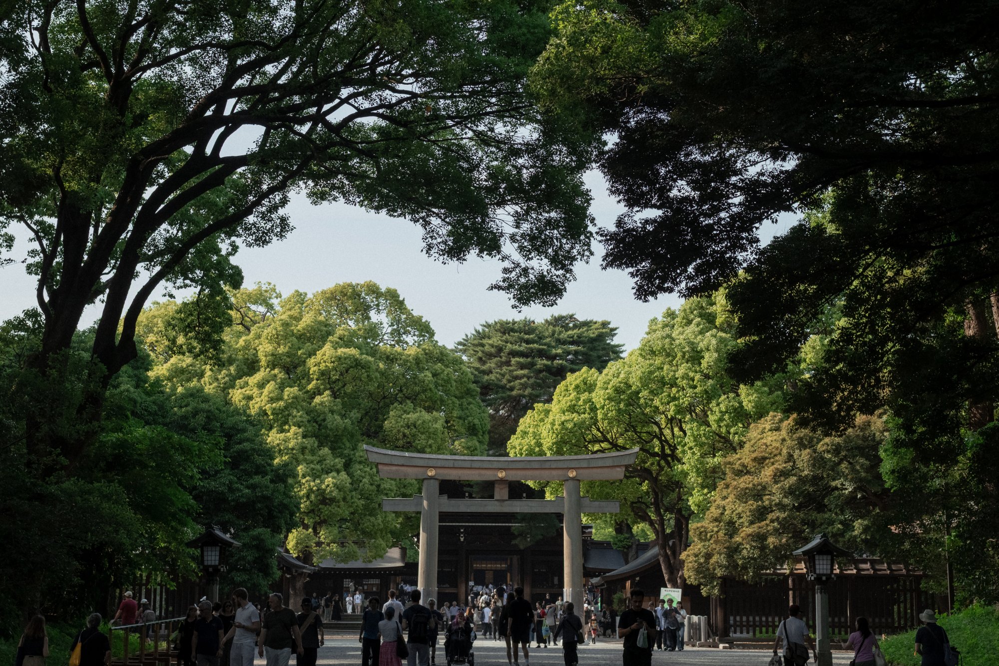 A Lovely 3 Days Guide in Tokyo เที่ยวโตเกียว 3 วันชิลกว่าที่คิด!