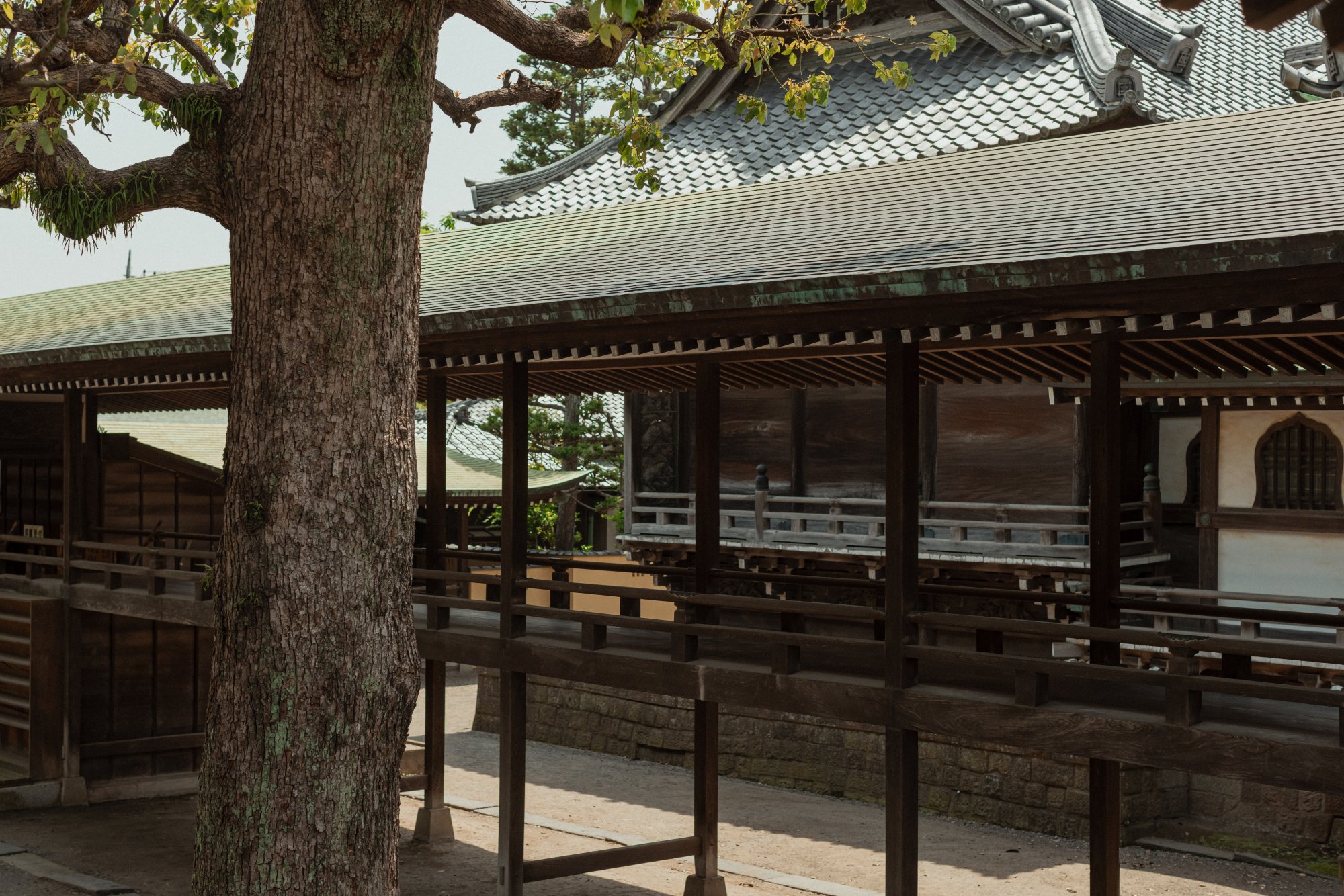 A Lovely 3 Days Guide in Tokyo เที่ยวโตเกียว 3 วันชิลกว่าที่คิด!