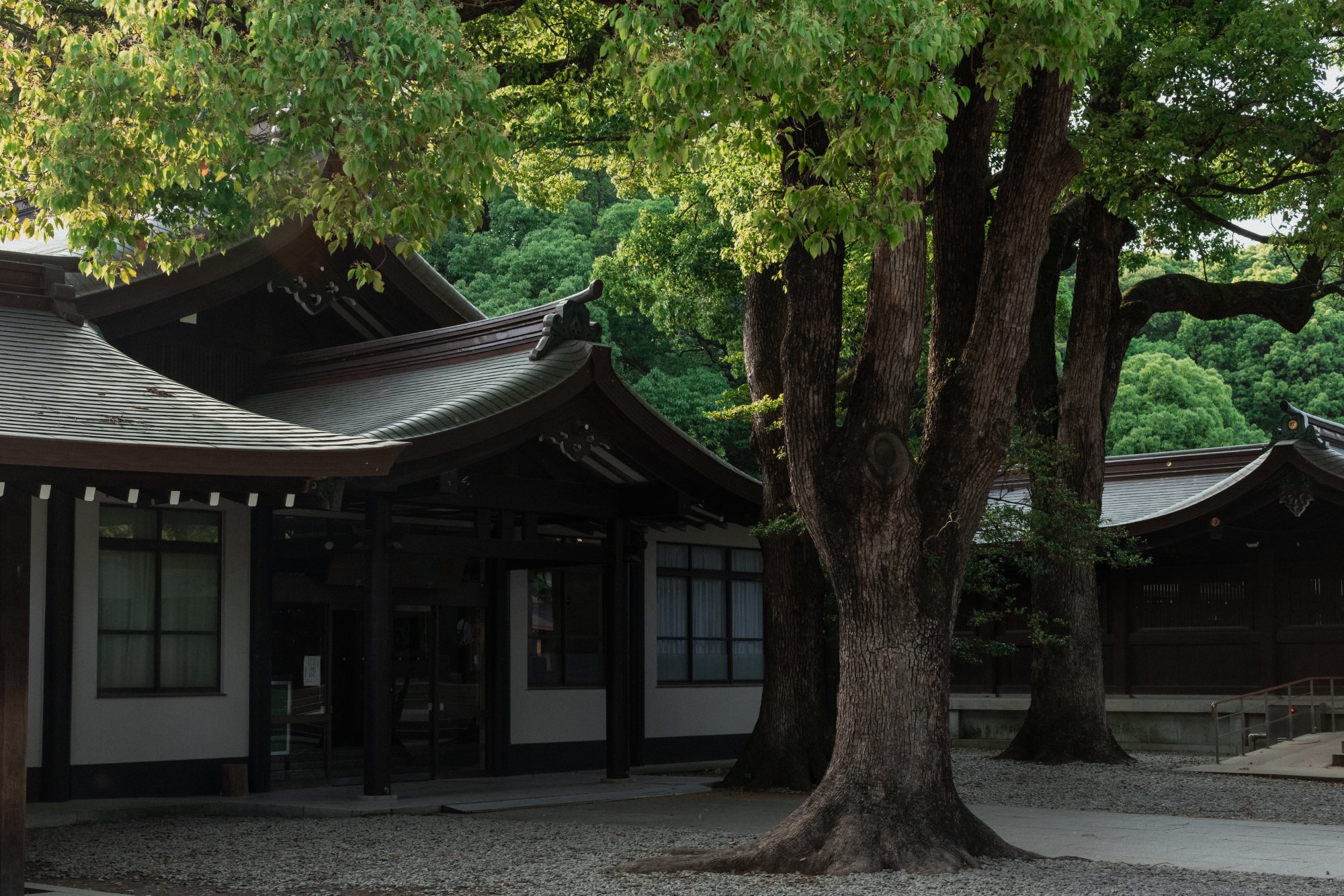 A Lovely 3 Days Guide in Tokyo เที่ยวโตเกียว 3 วันชิลกว่าที่คิด!